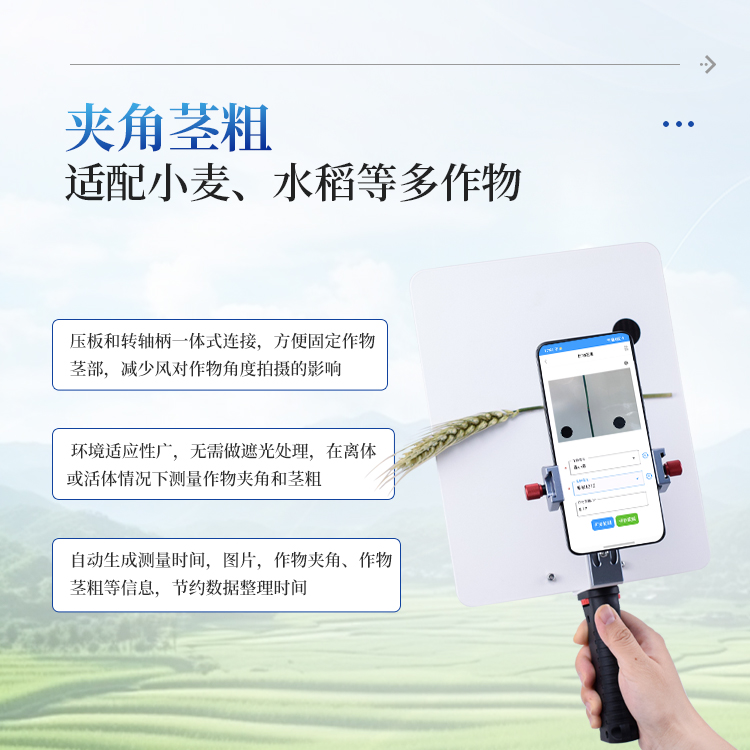 小麦表型测量仪