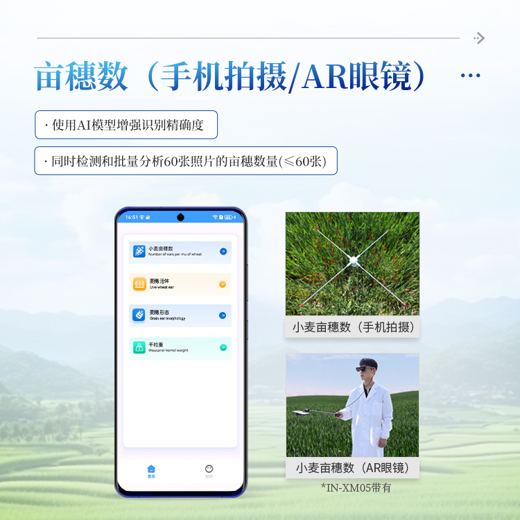 小麦亩穗数分析仪