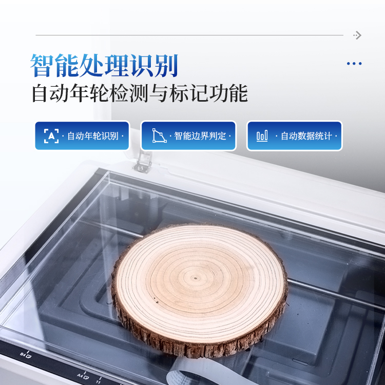 树木年轮分析仪