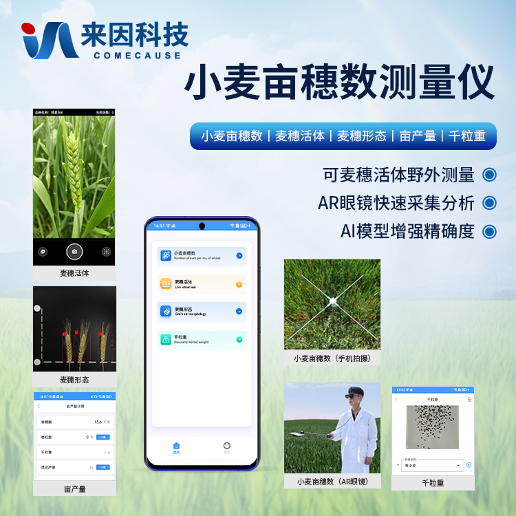 小麦亩穗数分析仪