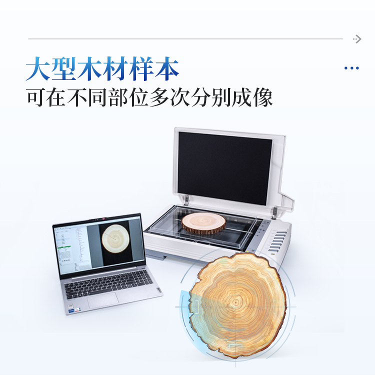 树木年轮分析仪