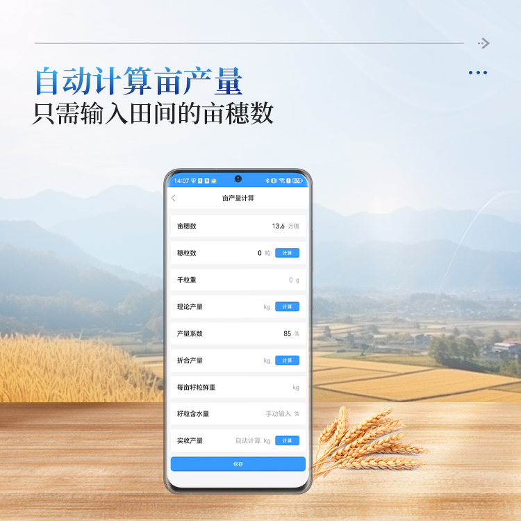 小麦表型测量仪
