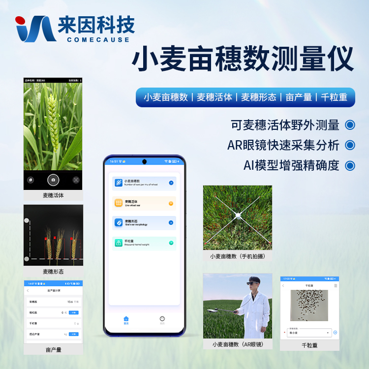 小麦亩穗数分析仪
