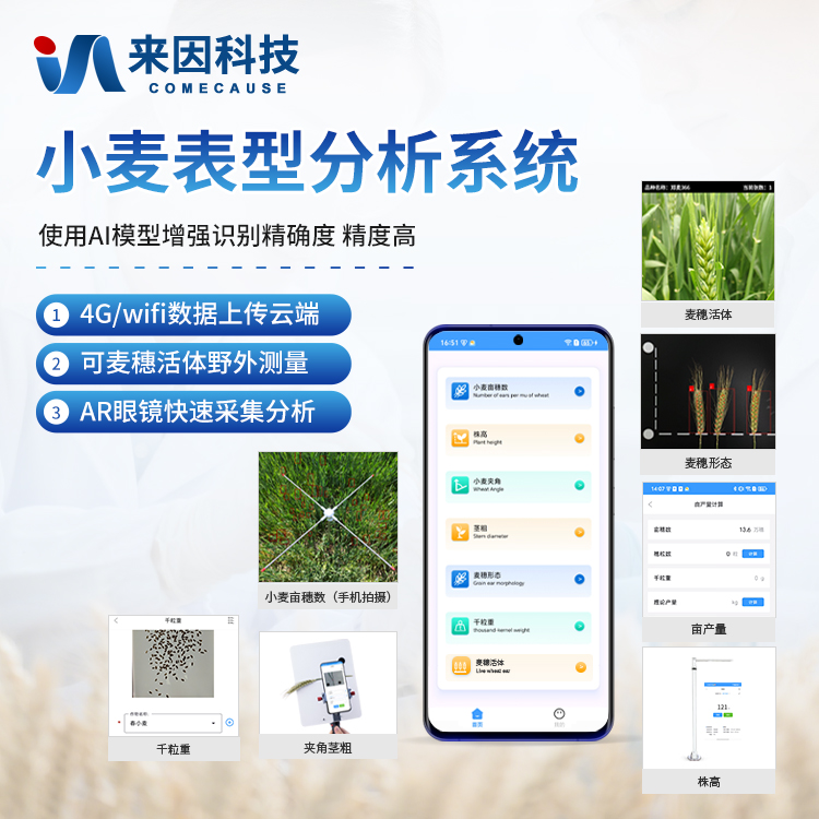 小麦表型测量仪