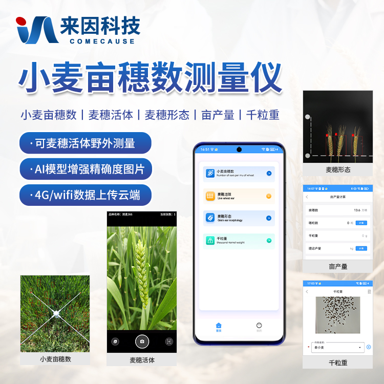 小麦亩穗数分析仪