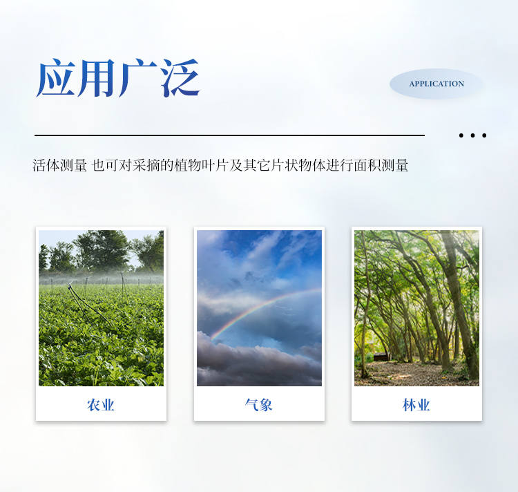 活体叶面积测量仪 活体叶面积测量仪